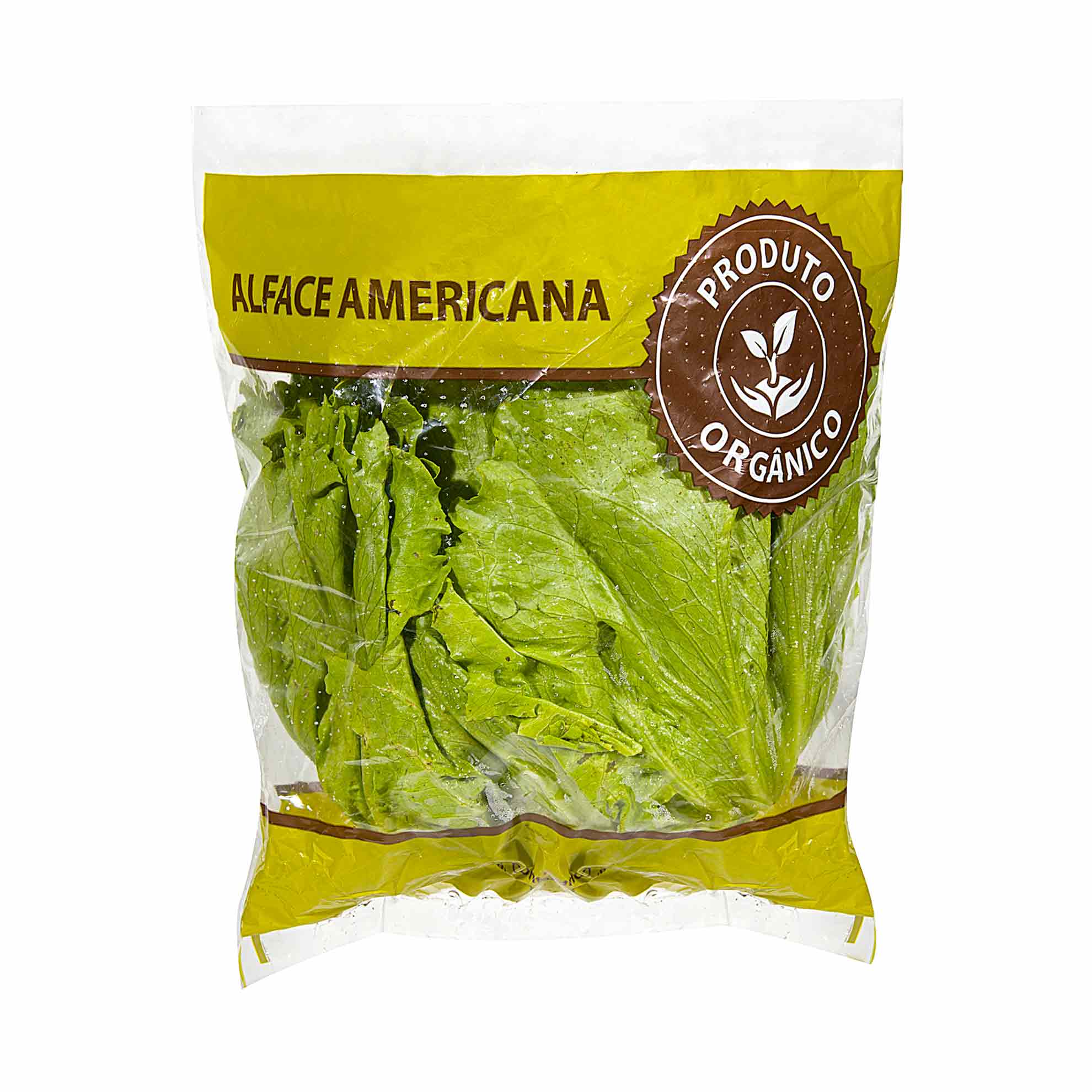 Alface Americana Orgânica