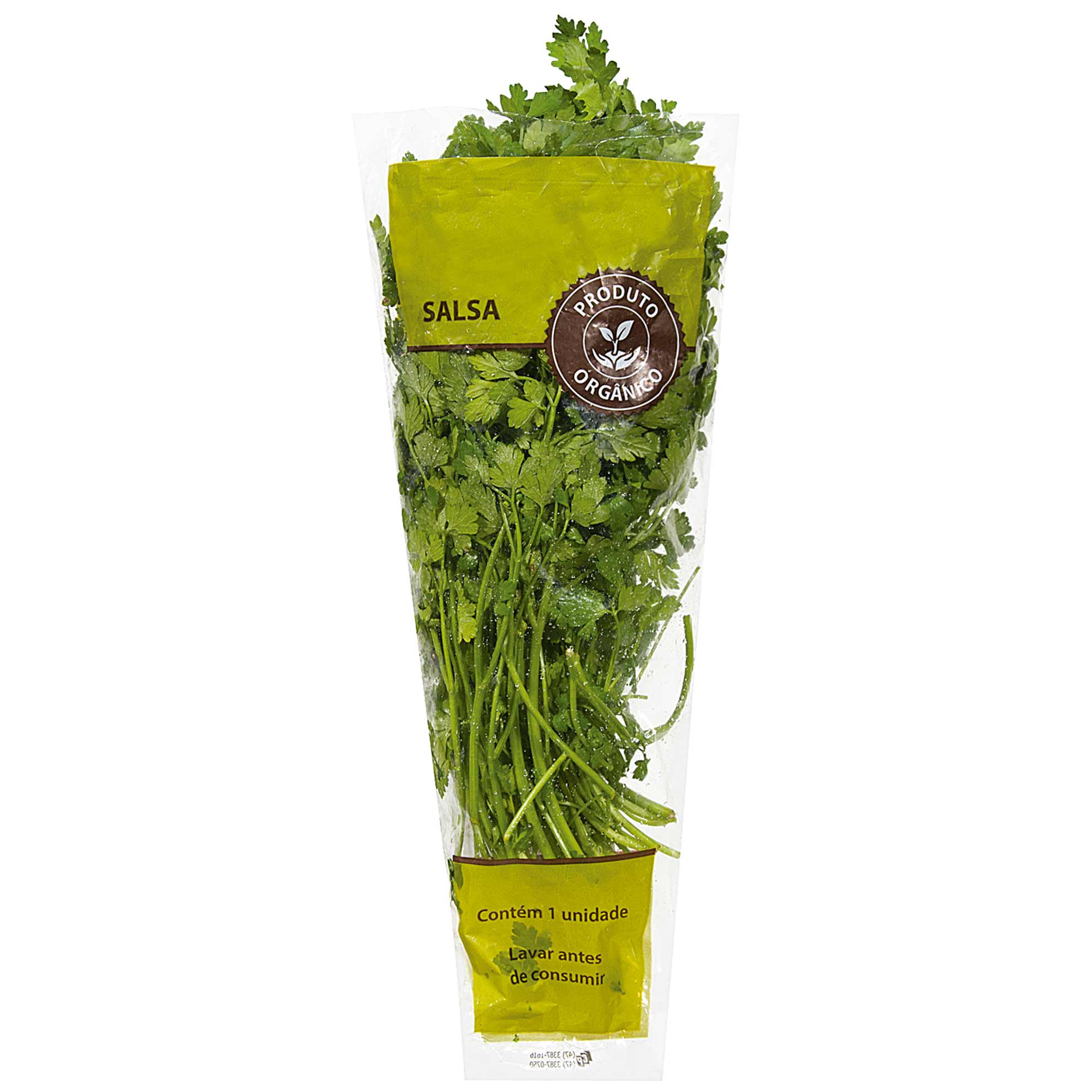 Salsa Orgânica Molho unidade