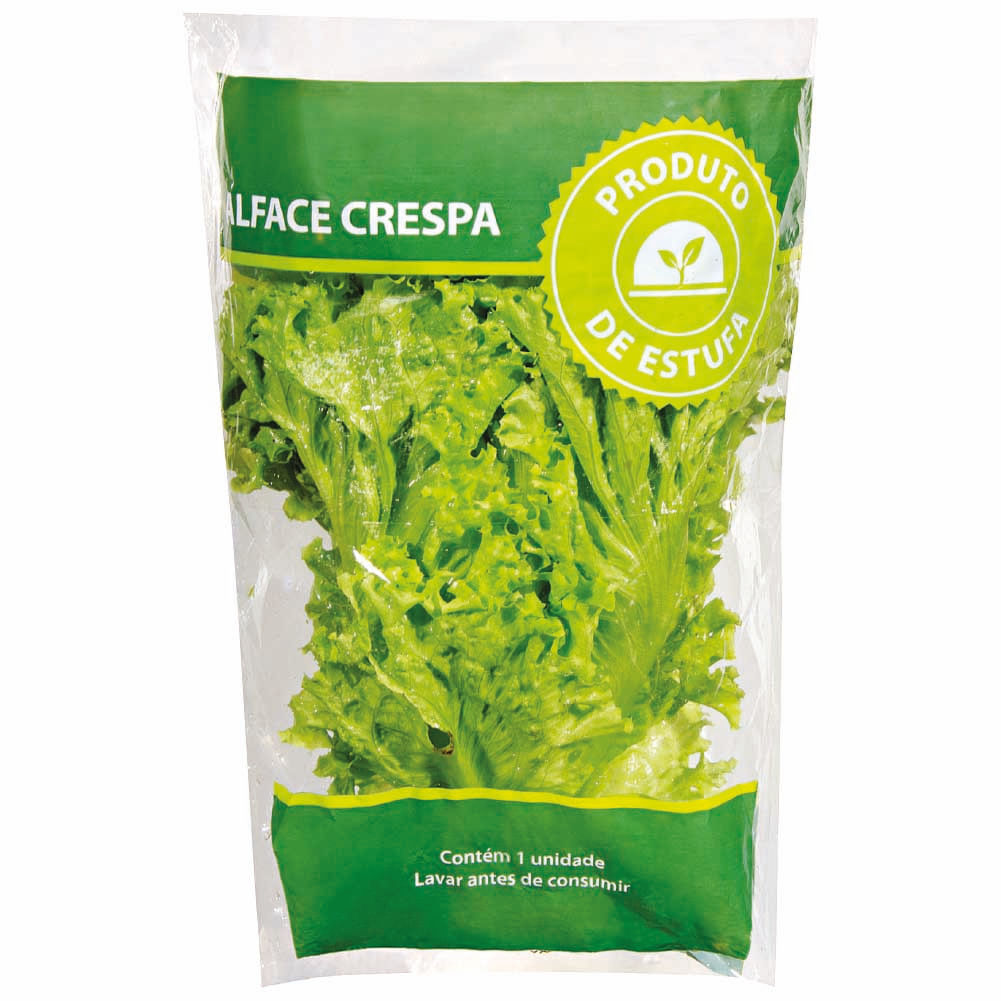 Alface-crespa de Estufa unidade